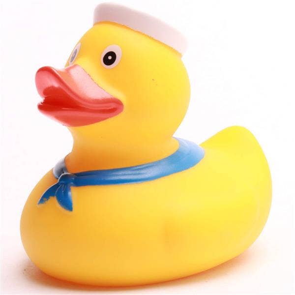 Canard Marin
