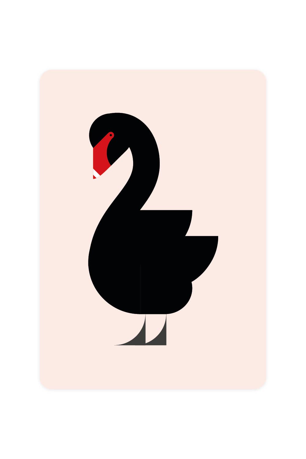 Carte postale avec Black Swan