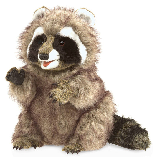 Marionnette à mano Raccoon 3075/ Raccoon Folkmanis realista