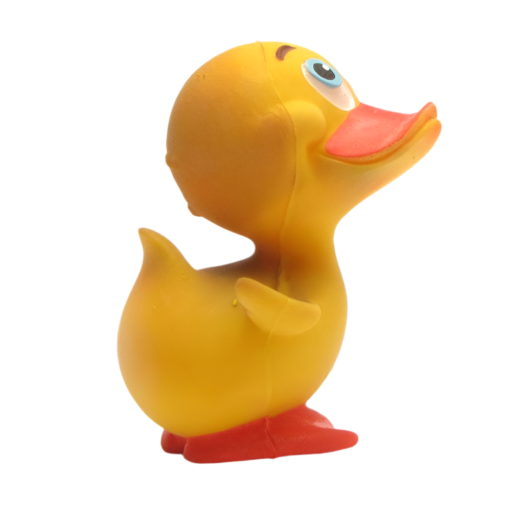 Canard Joyeux