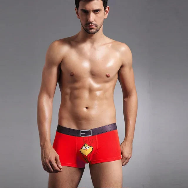 Boxer Poussin – vue produit 6