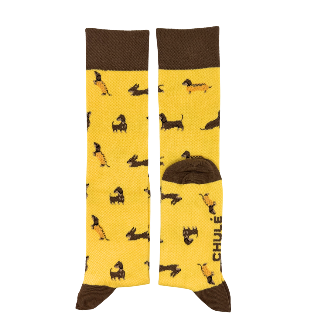 Chaussettes de Compression « Kiko – Chien Teckel » - Chulé