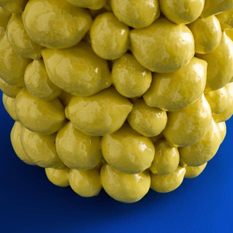 Vase Citrons Jaunes