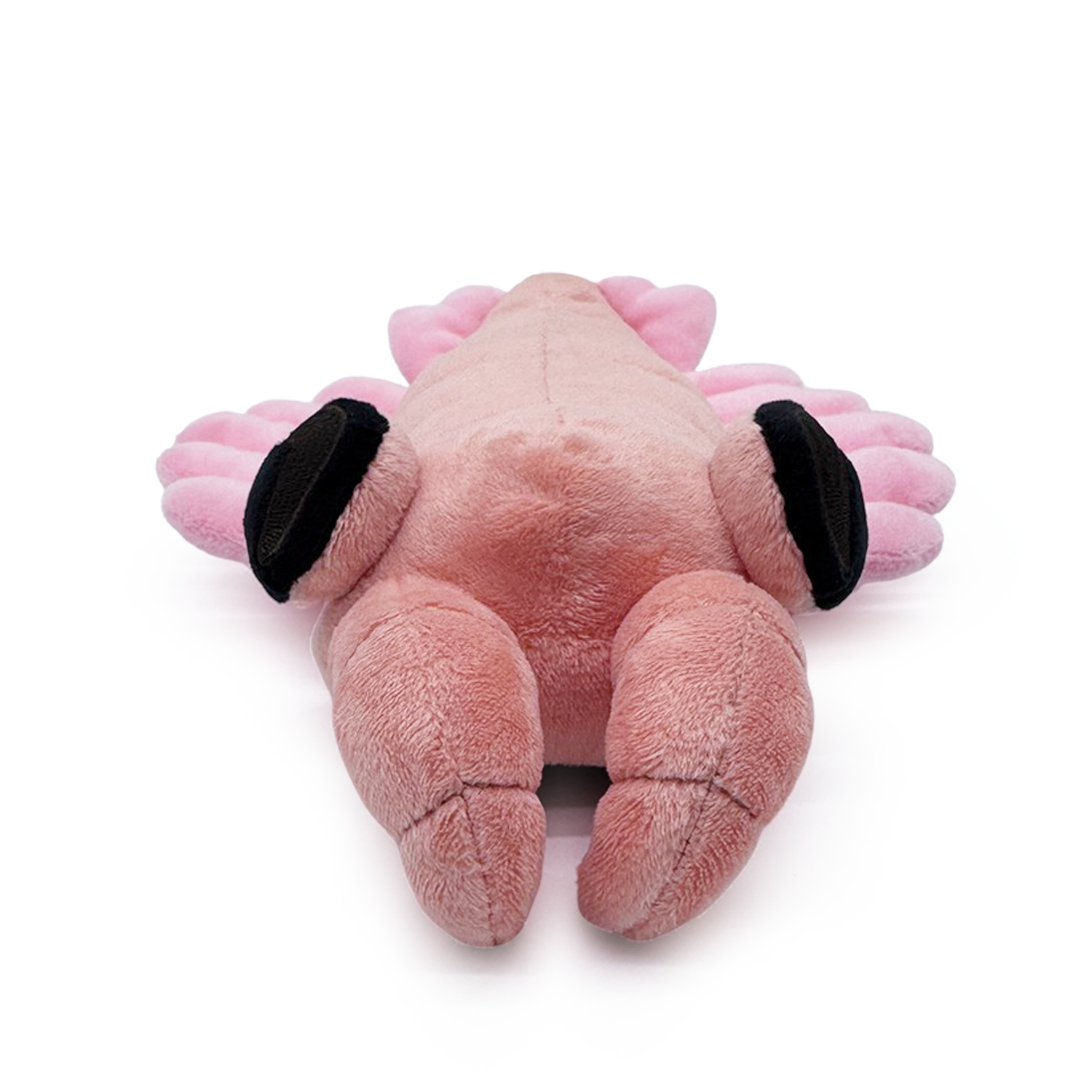 Anomalocaris Plush (9in)