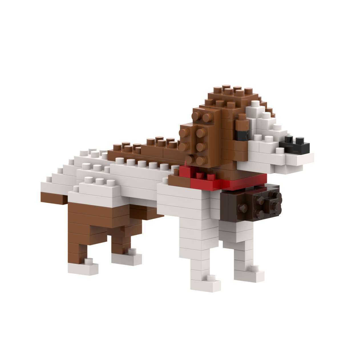Brixies Saint Bernard