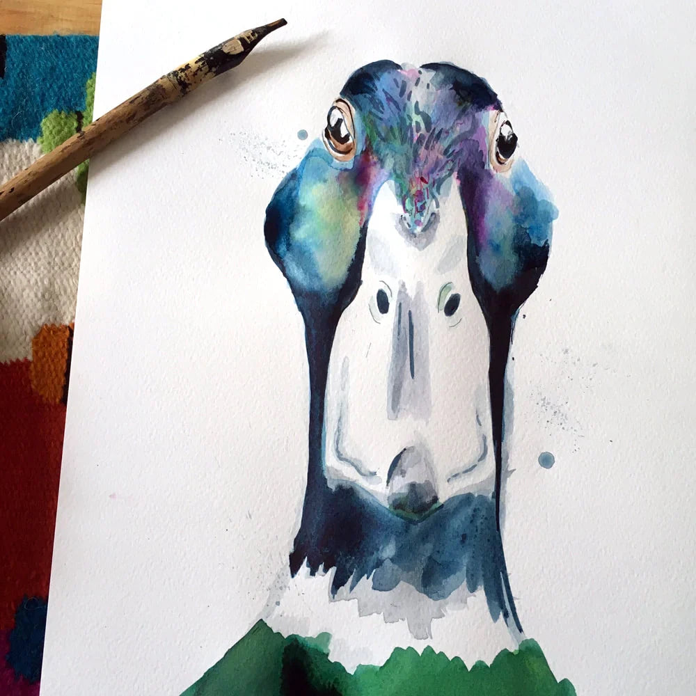 carte de voeux aquarelle canard colvert kate moby 