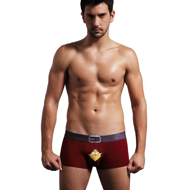 boxer poussin mr colvert 16093260
