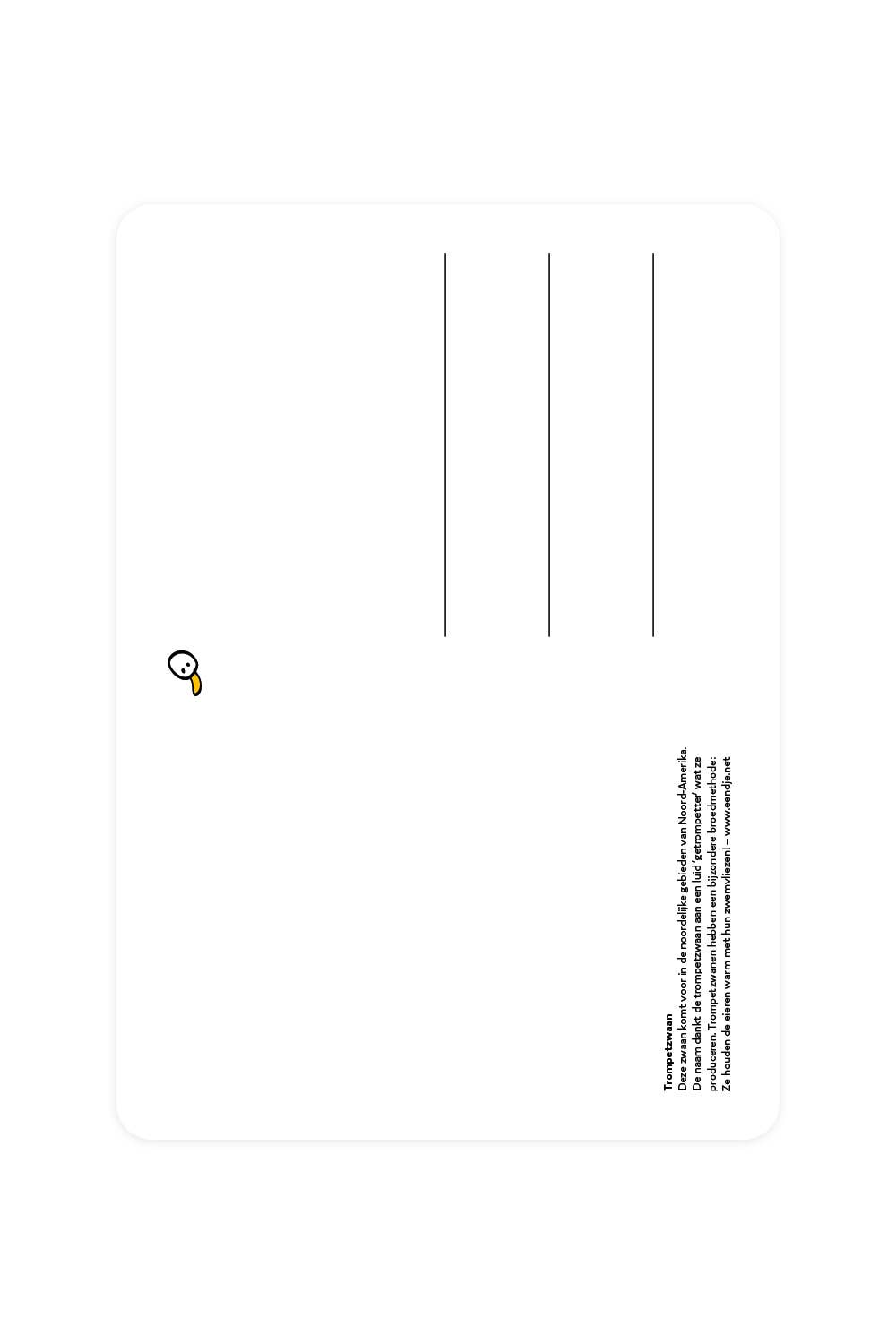 Postcard with a trumpeter swan