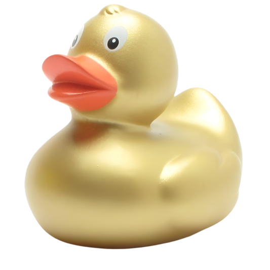 canard classique dore