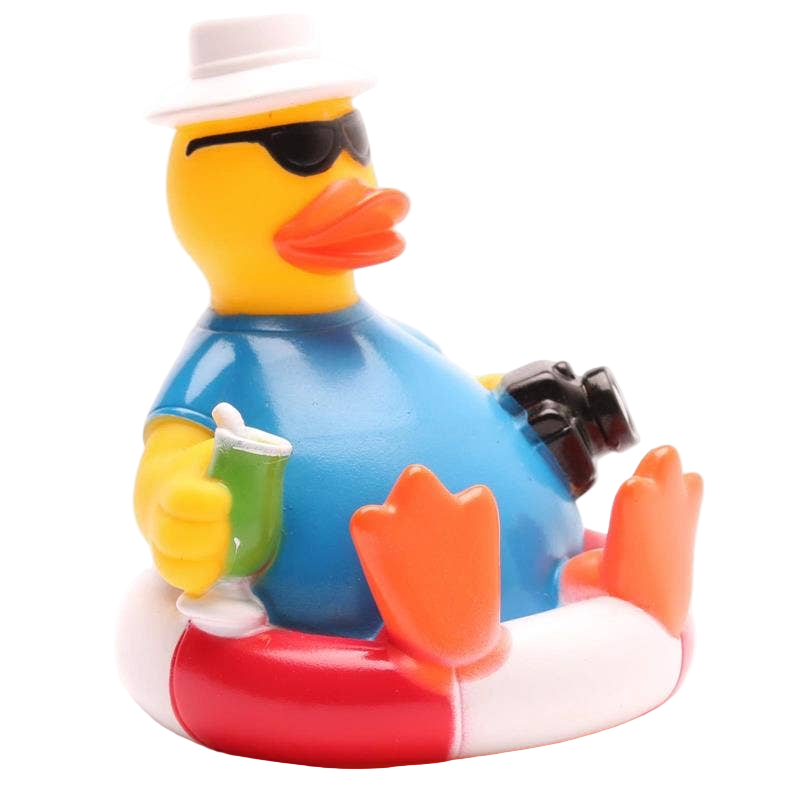 Canard Touriste sur bouée