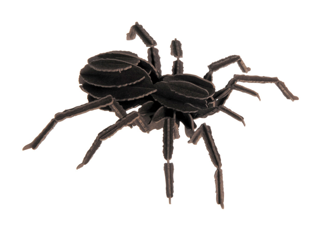 Modèle En Papier 3D - Tarantule – vue produit 3