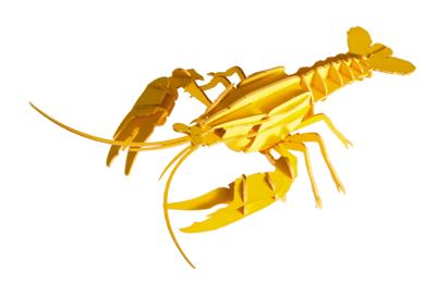 3D Paper Model: HOMARD 12x3x7,5cm, en sachet 10,5x21x0,5cm