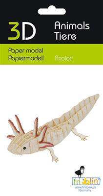 3D-Papiermodell – Axolotl