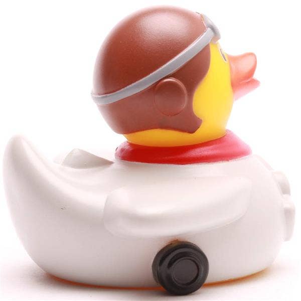 Canard Aviateur