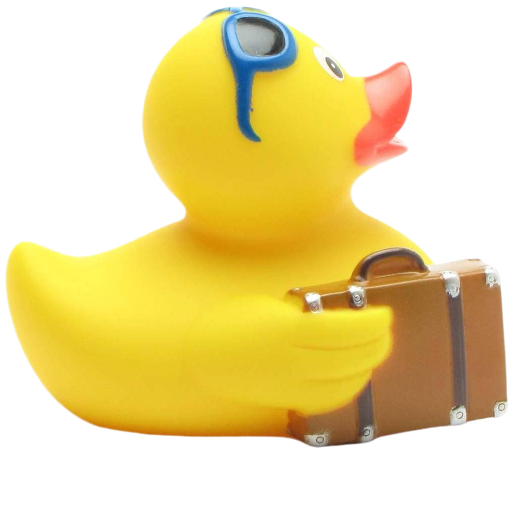 Traveling Duck