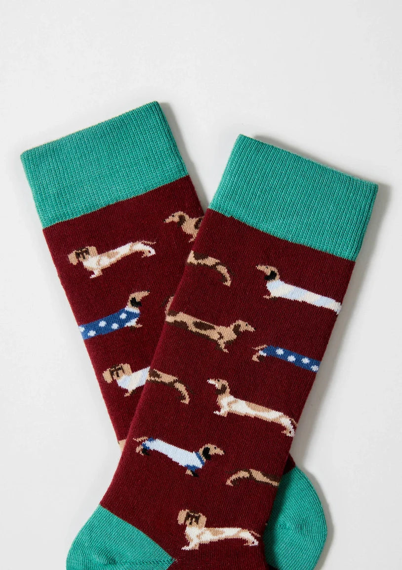Chaussettes BePets - Teckels