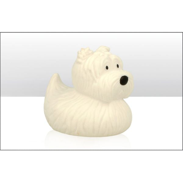 pato terrier ecossais elgate products