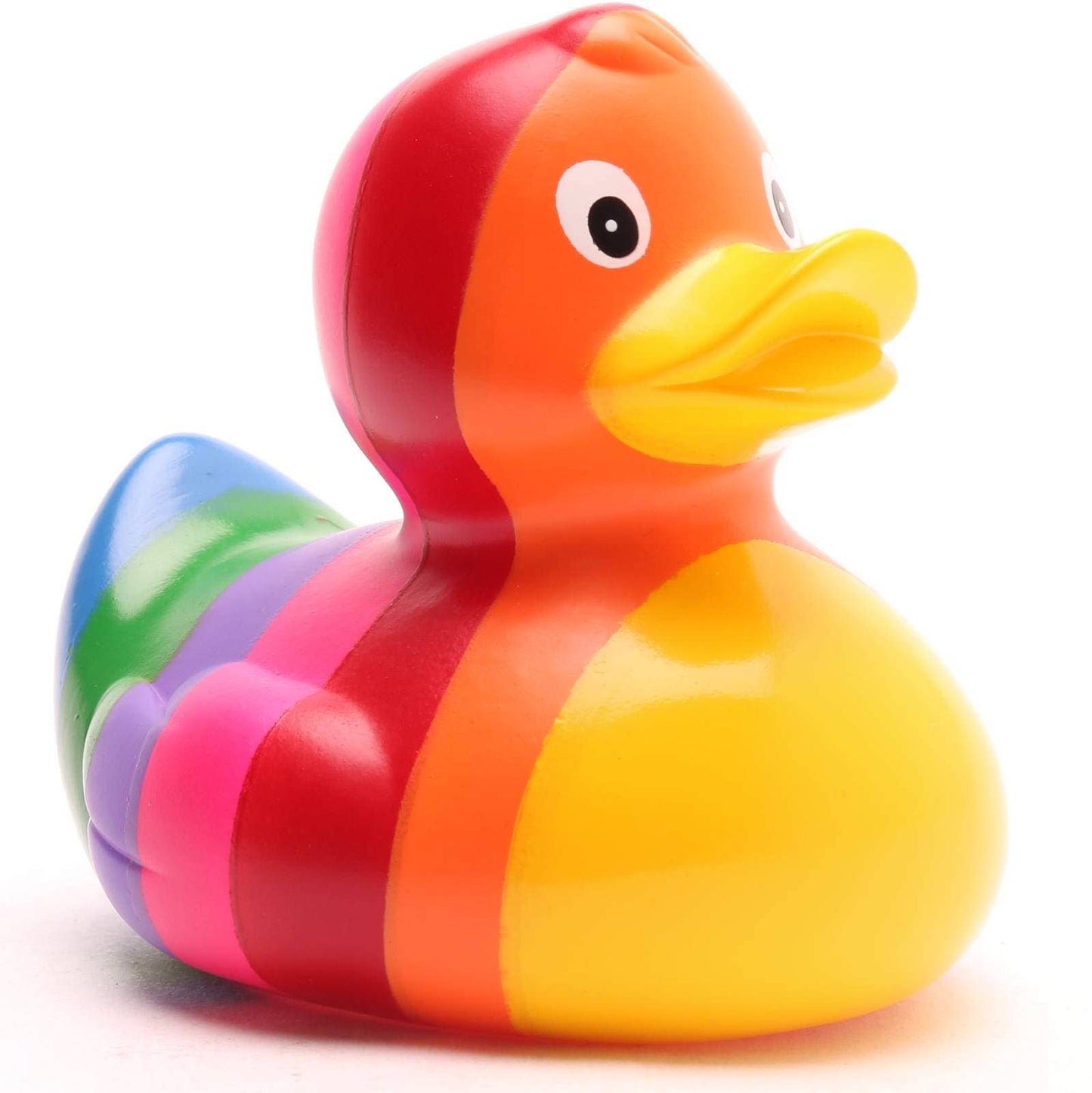 Regenbogenente