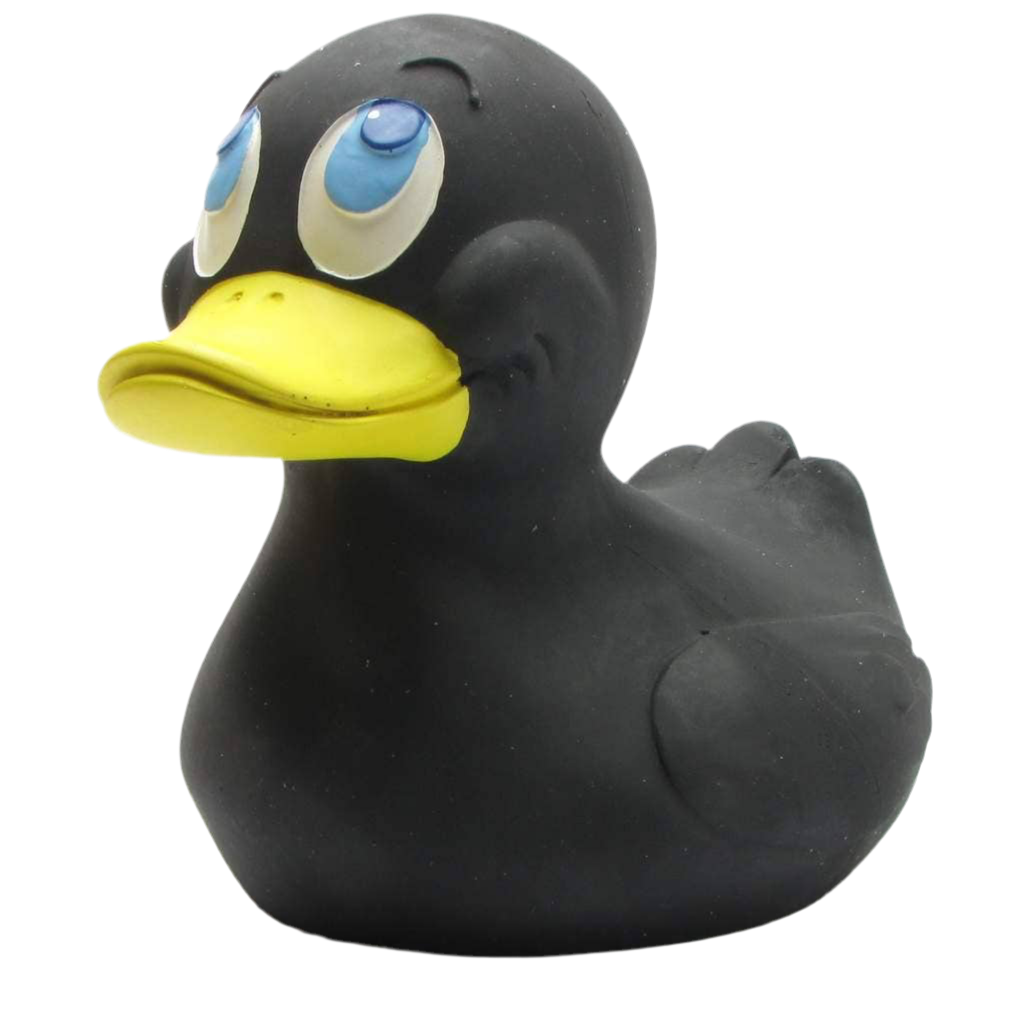 Canard Noir XXL