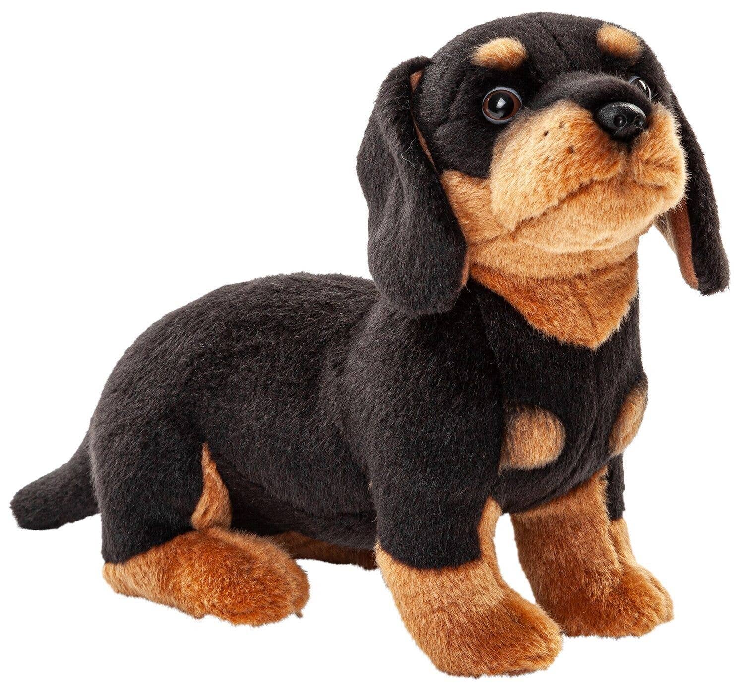Peluche teckel sans laisse Uni Toys