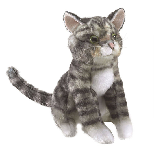 Marionnette à mano Mini gatoon 2791/ Mini gato tigré Folkmanis realista
