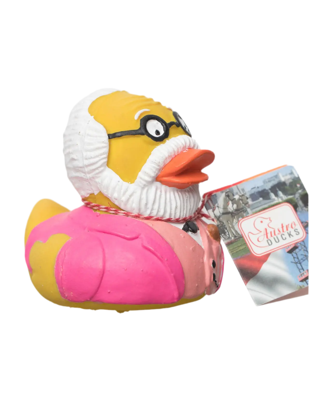 Canard Freud Rose Austroducks  CoinCaillerie