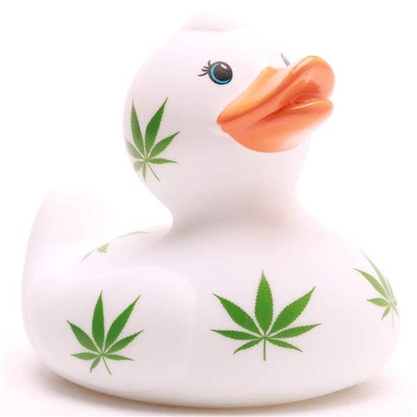 Canard Feuille de Chanvre