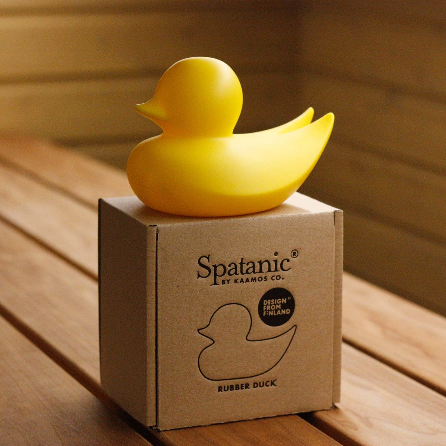 Canard Minimaliste