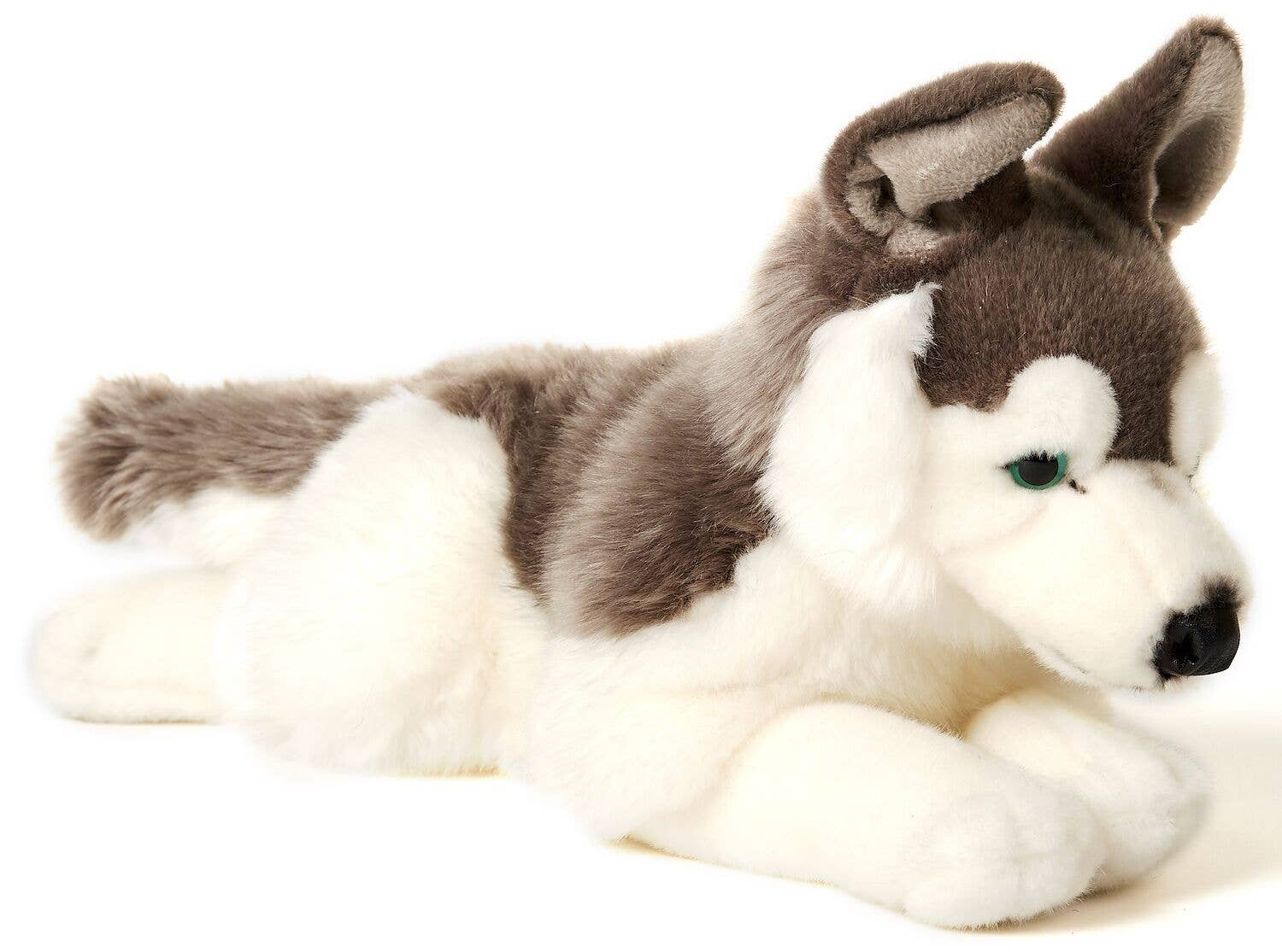 Peluche Husky gris couché Uni Toys