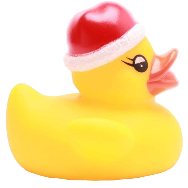Kleine Weihnachtsente