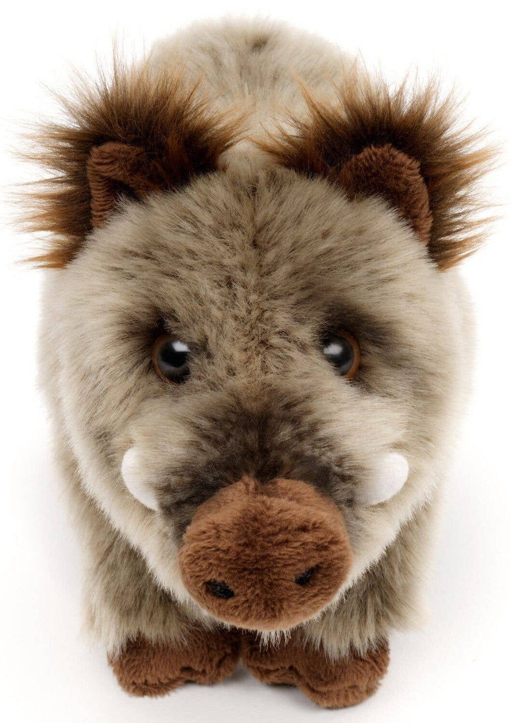 Peluche Sanglier Uni Toys