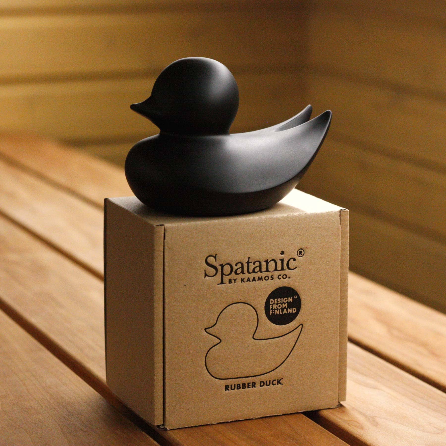 Canard Minimaliste