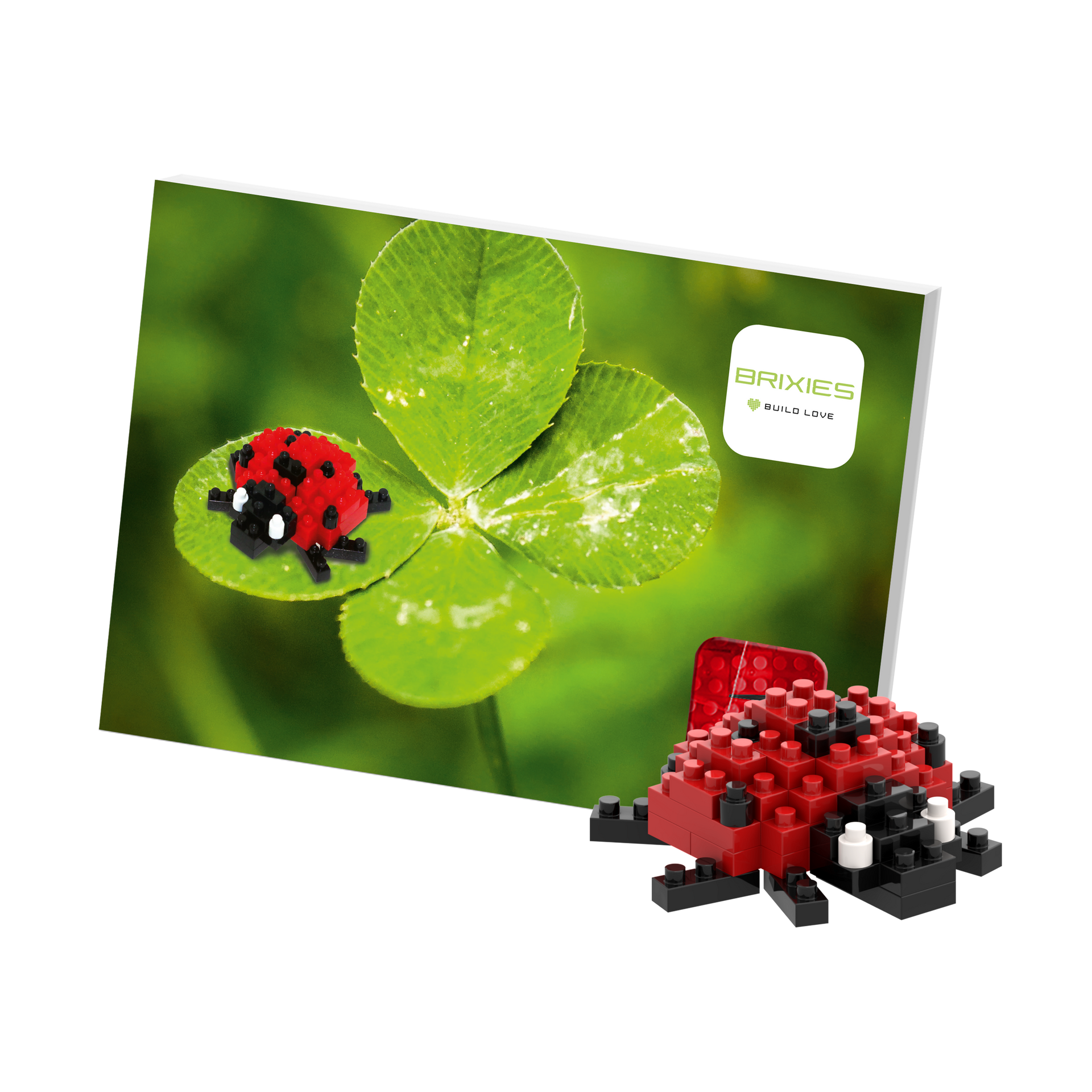 Carte postale Brixies coccinelle