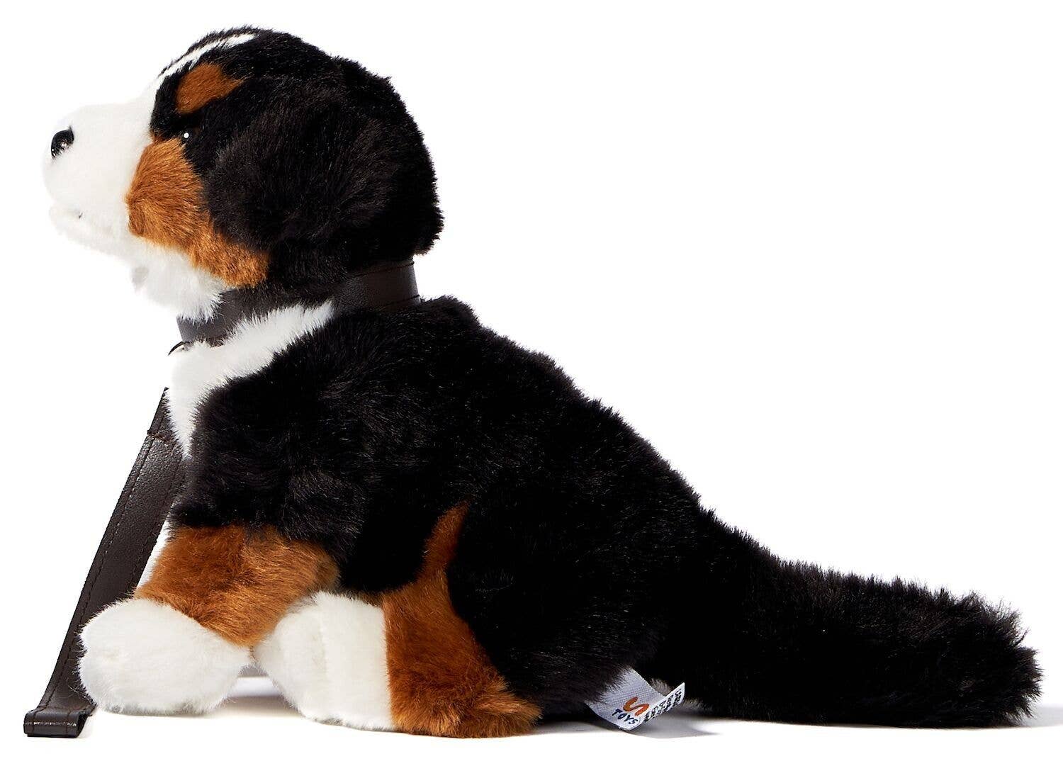 Peluche bouvier bernois en laisse avec son Uni Toys