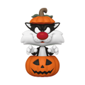 pop sylvester in pumpkin costume 1675