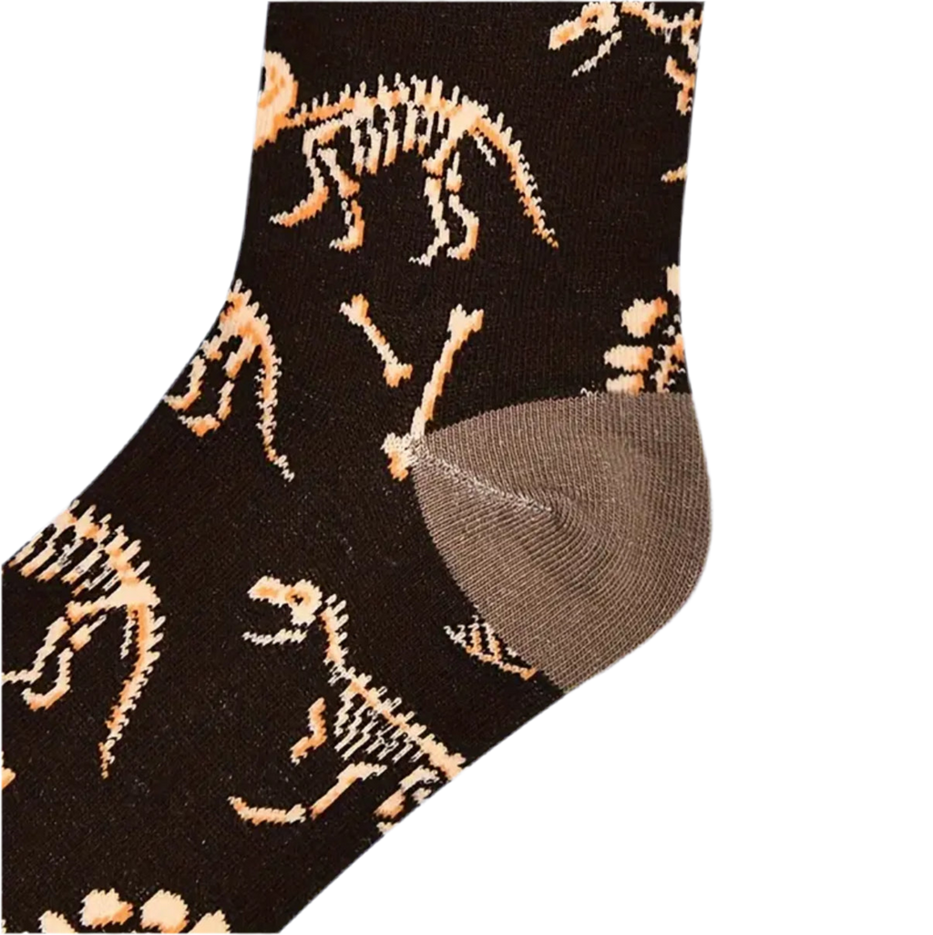 chaussettes fossiles de dinosaures mrcol SOX DINO 004 62189132