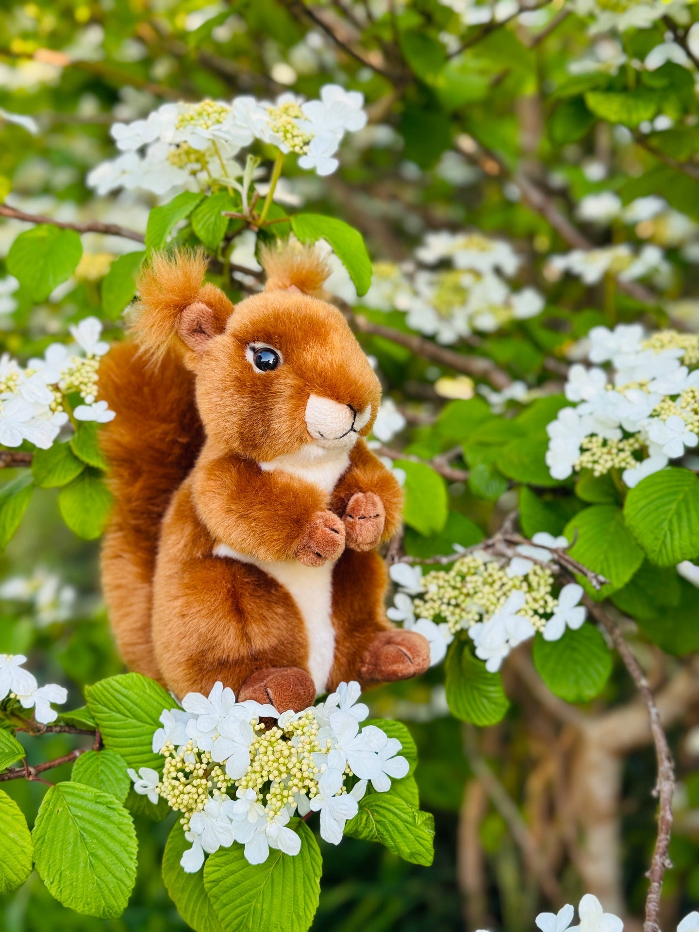 Peluche Écureuil Roux
