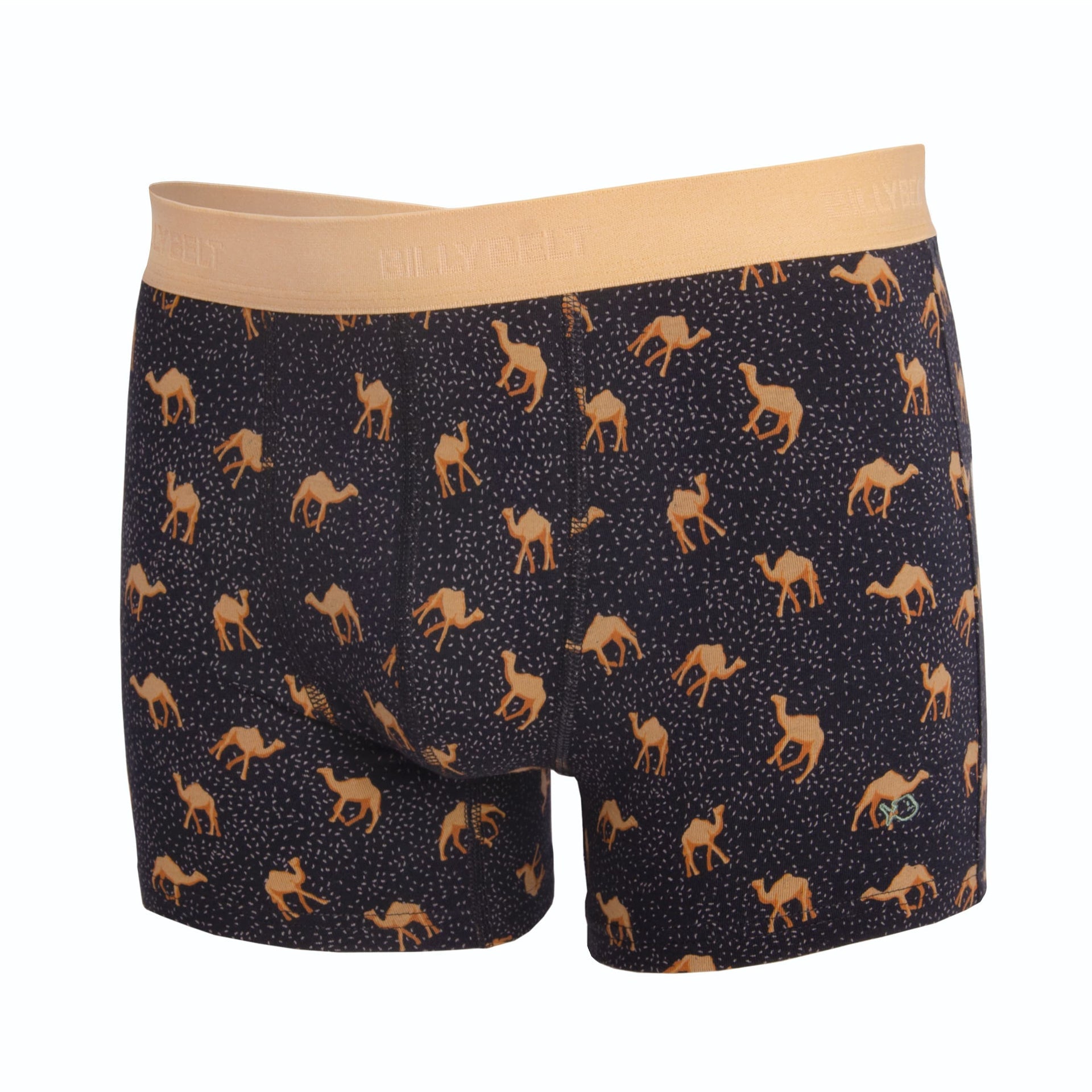 Kamelboxer