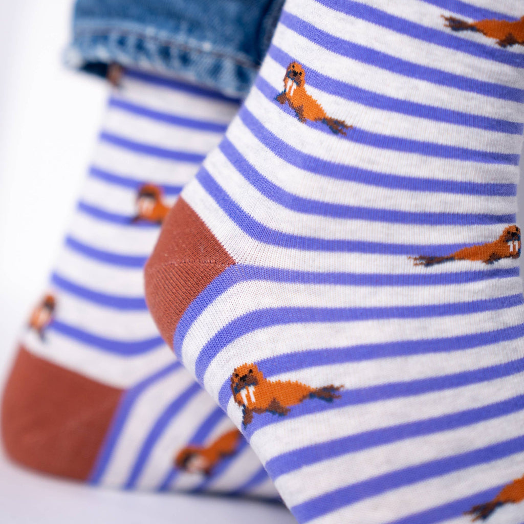 Chaussettes en Coton Peigné Animaux - Morse