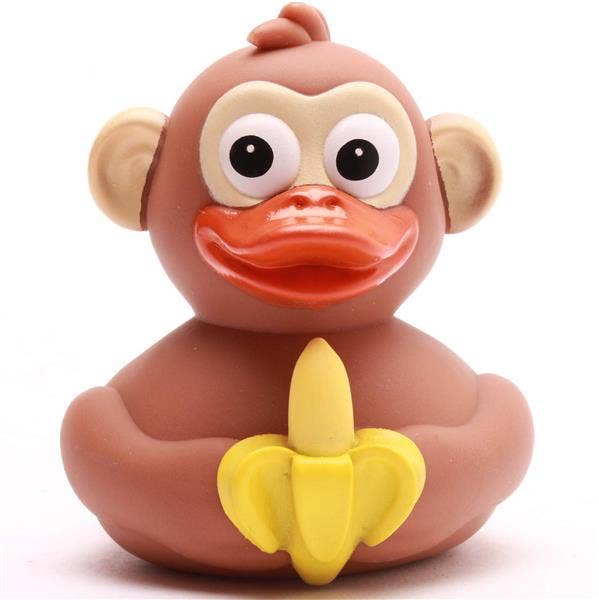 Canard Singe