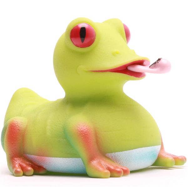 Canard Rainette Arboricole