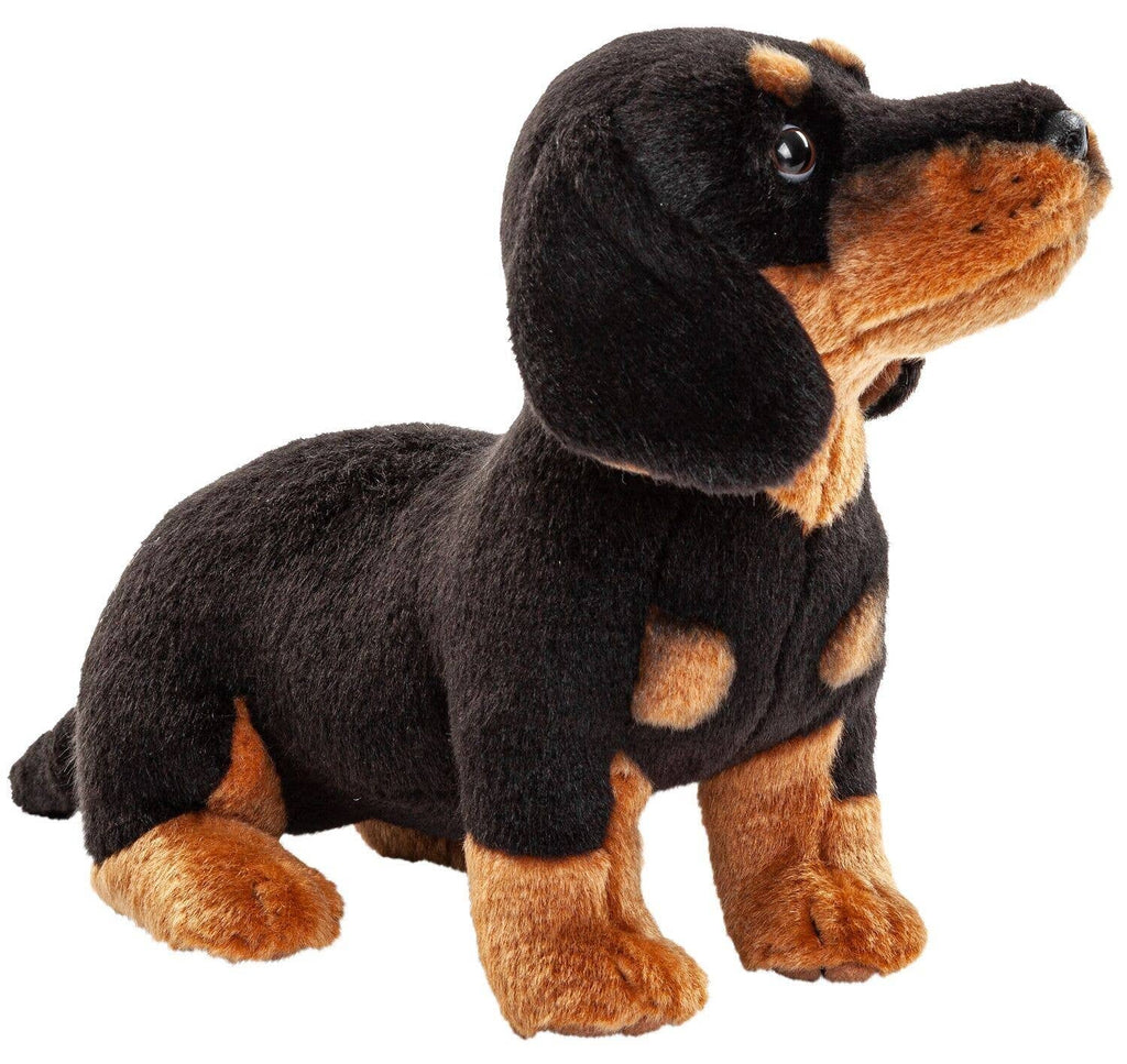 Peluche teckel sans laisse Uni Toys