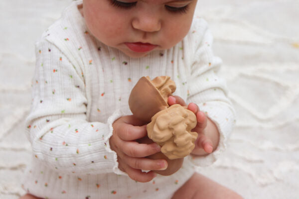 Produit Nutty La Noix Déco