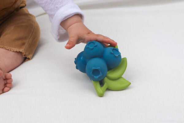 Produit Jerry La Myrtille Accessoire