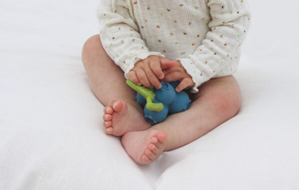 Produit Jerry La Myrtille Kawaii