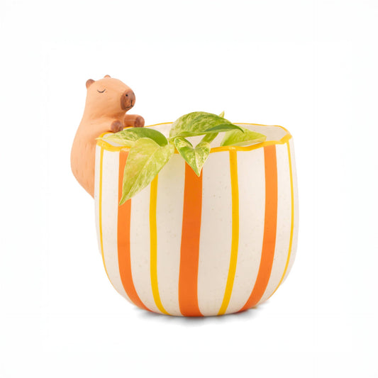 Frecher Capybara-Gärtner