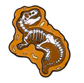 pins fossil de t rex