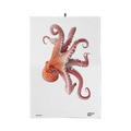Torchon Gustave le Poulpe