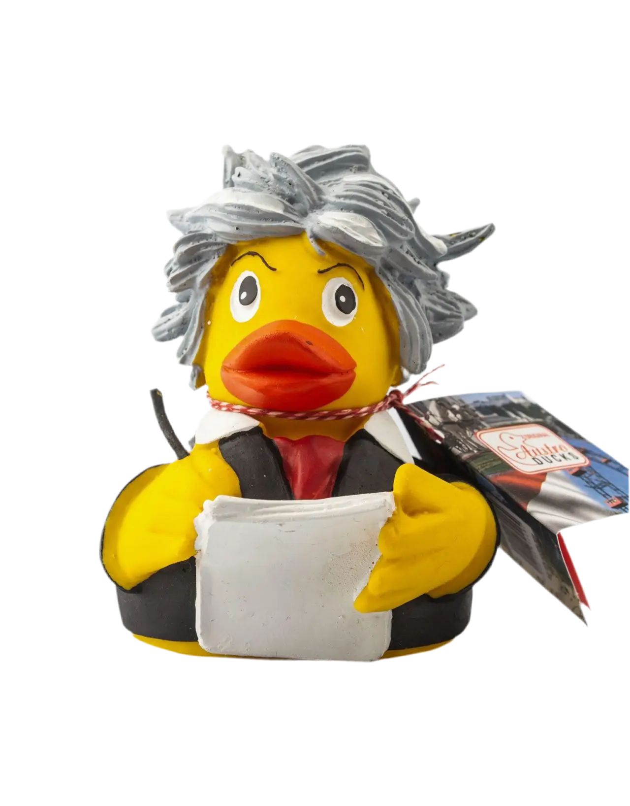 Canard Beethoven Austroducks  CoinCaillerie