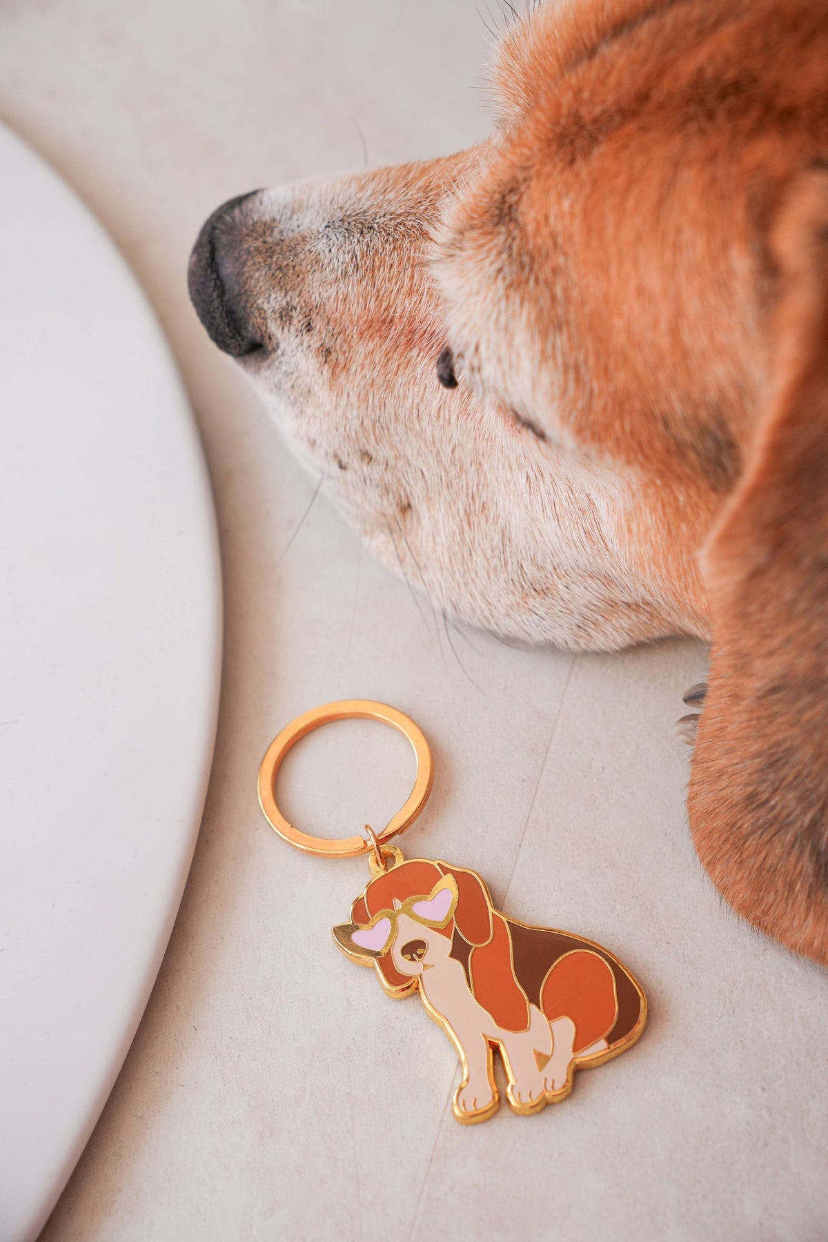 Porte-clés Beagle